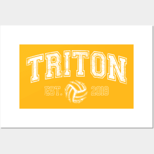 Triton Collegiate 2018 Posters and Art